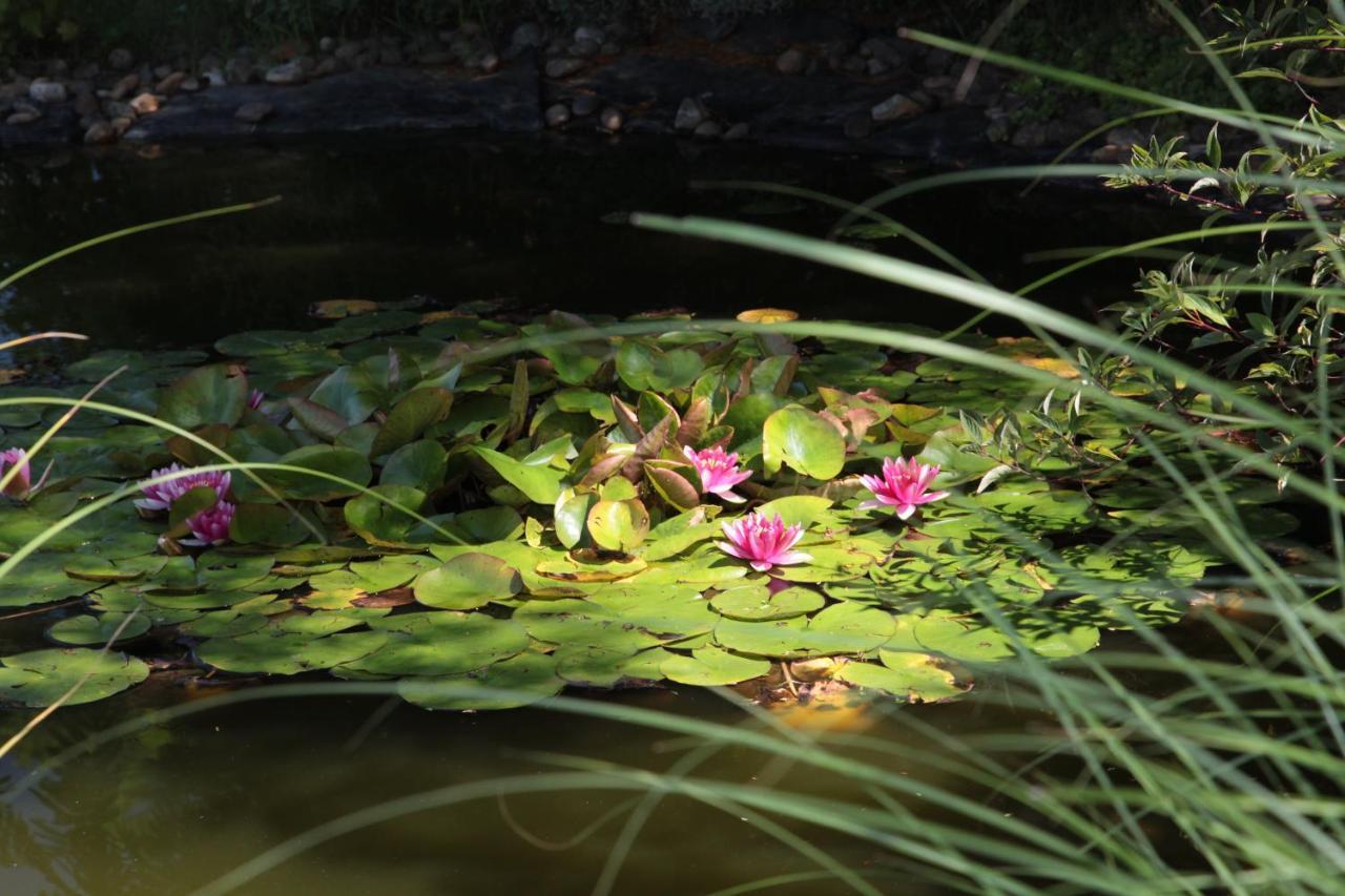 Nagymajor Birding Lodge Tiszacsege Экстерьер фото